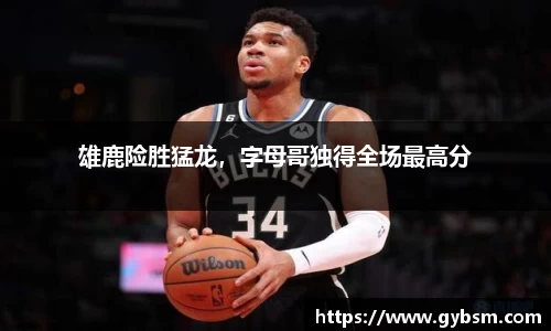 yy易游