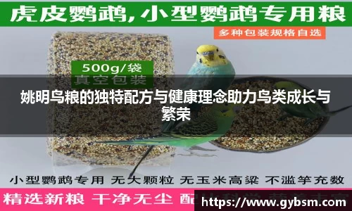 yy易游