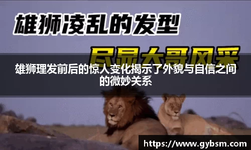 yy易游