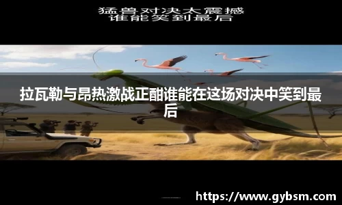 yy易游体育