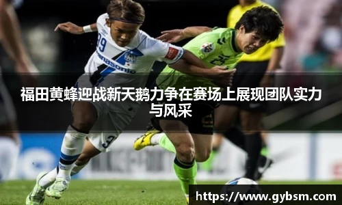 yy体育