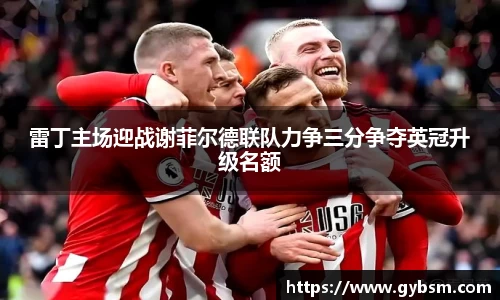 yy体育